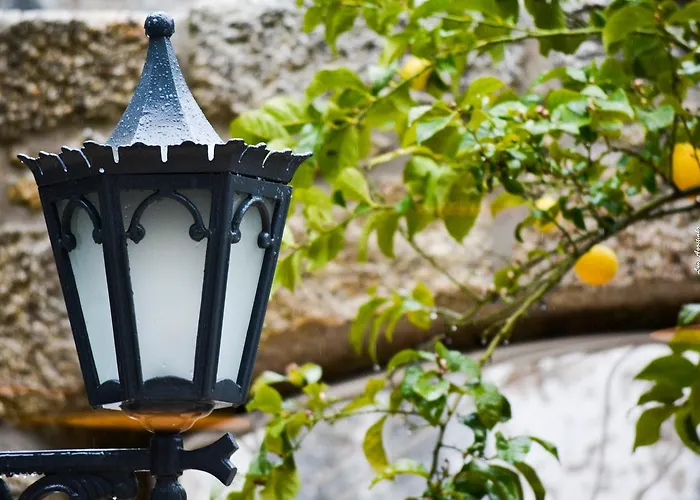 Paço 100 Pressa Covilhã